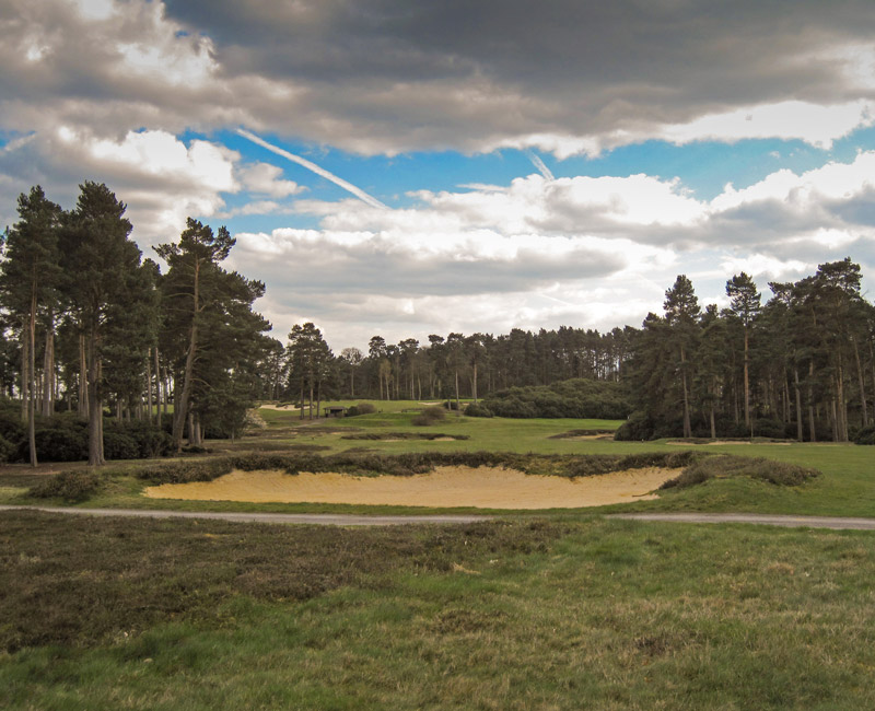 Swinley Forest