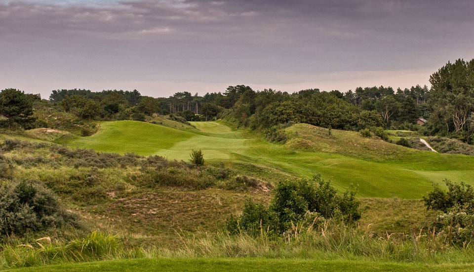 Royal Hague 15