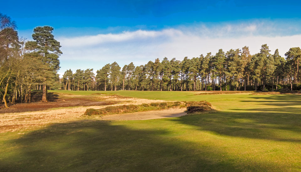 Broadstone 14