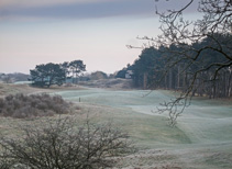 Royal Hague hole 14